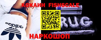 шишки Славгород