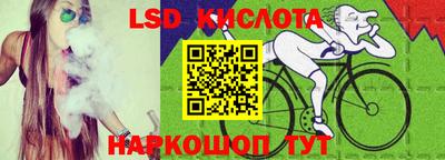 шишки Славгород