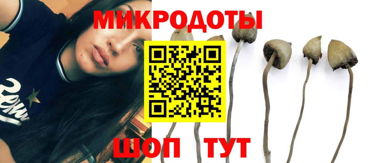 Псилоцибиновые грибы Magic Shrooms Бийск